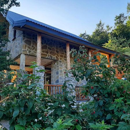 Fern Farm Eco Studio Apartment โมจโคแวก ภายนอก รูปภาพ