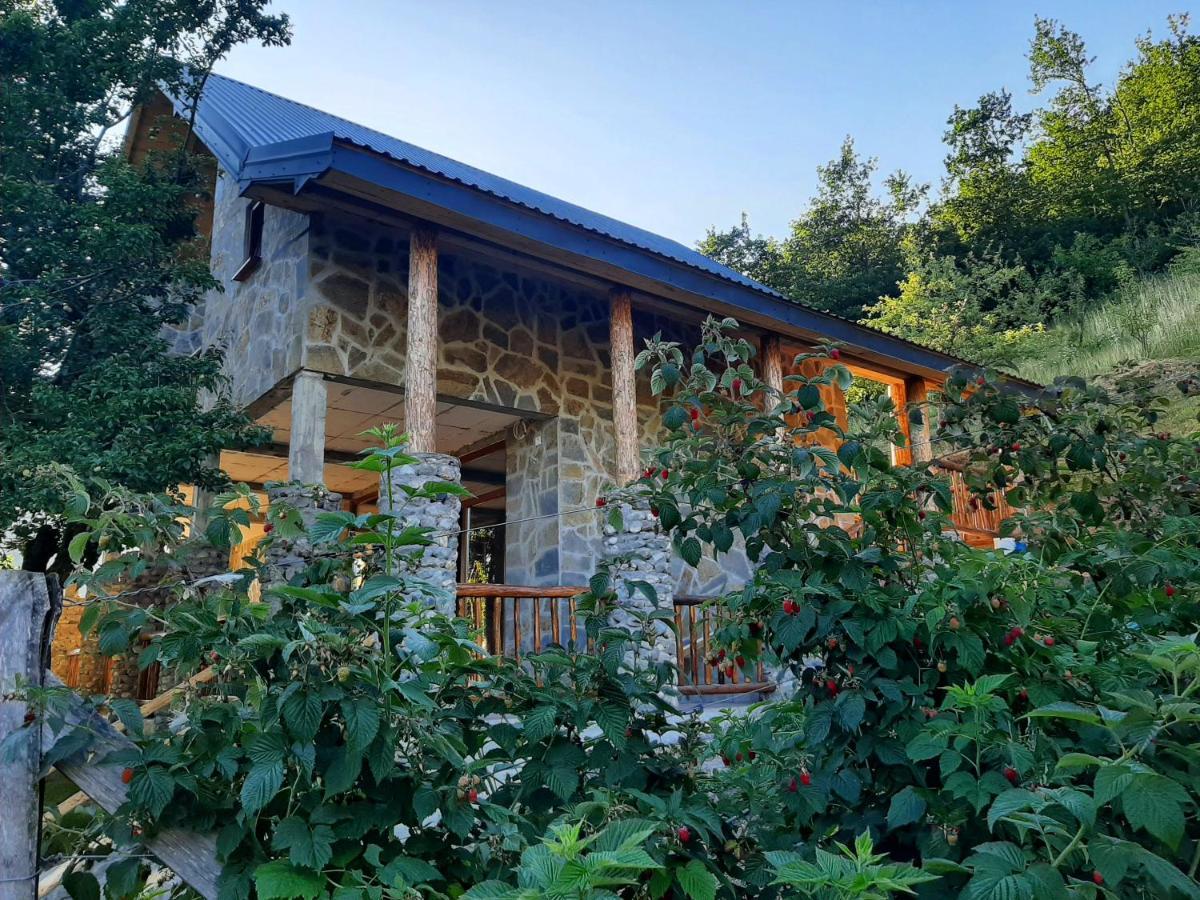 Fern Farm Eco Studio Apartment โมจโคแวก ภายนอก รูปภาพ